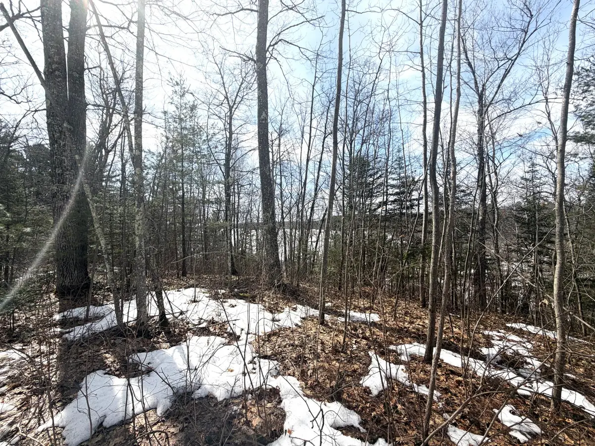 Lot 2 Bo Di Lac Rd, Lac Du Flambeau, WI 54538 - #1