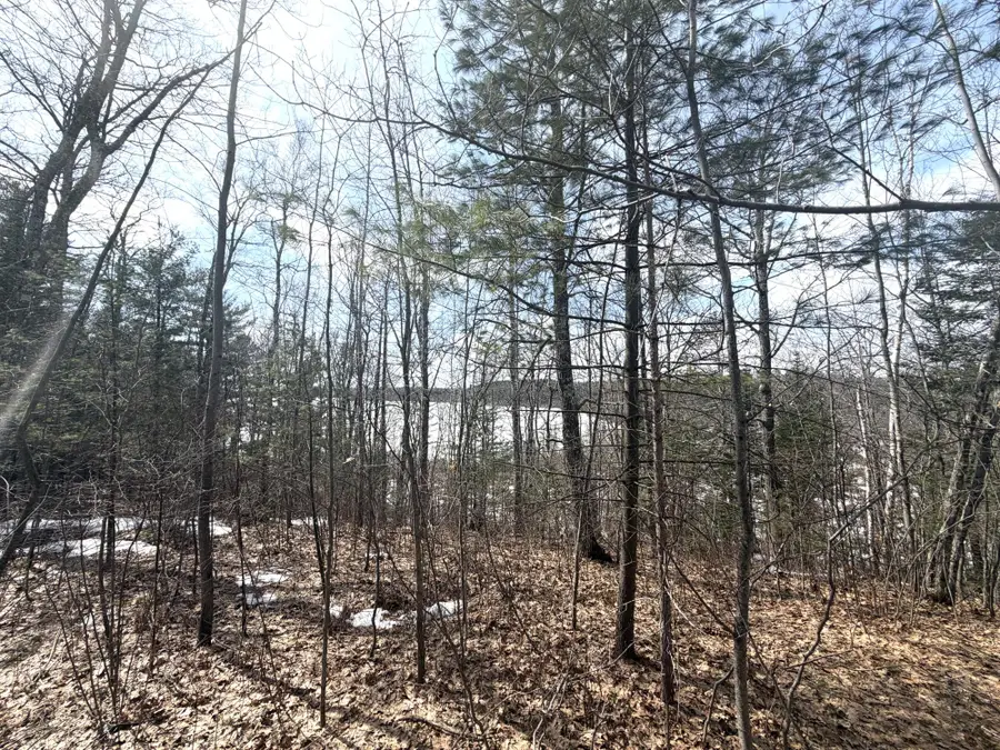 Lot 2 Bo Di Lac Rd, Lac Du Flambeau, WI 54538 - #2