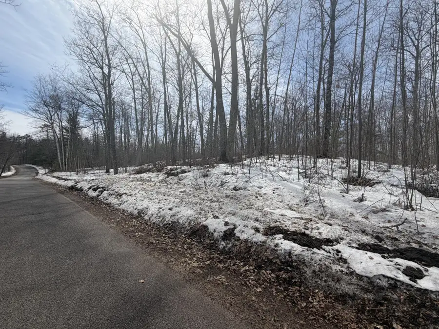 Lot 2 Bo Di Lac Rd, Lac Du Flambeau, WI 54538 - #3