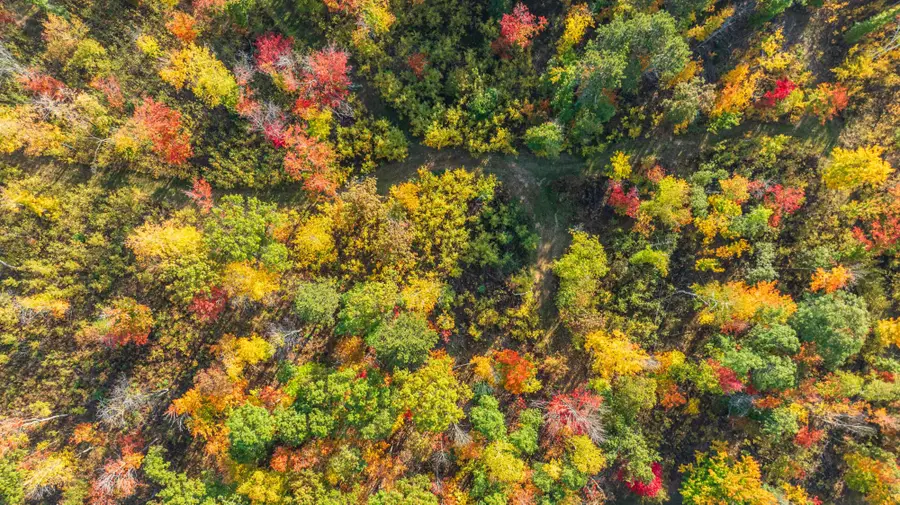 Lot 6 Northwestern Dr, Rhinelander, WI 54501 - #3