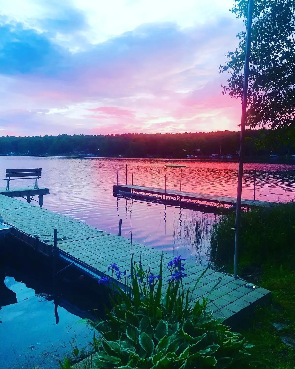 2977 Trump Lake Rd, Wabeno, WI 54566 - #1