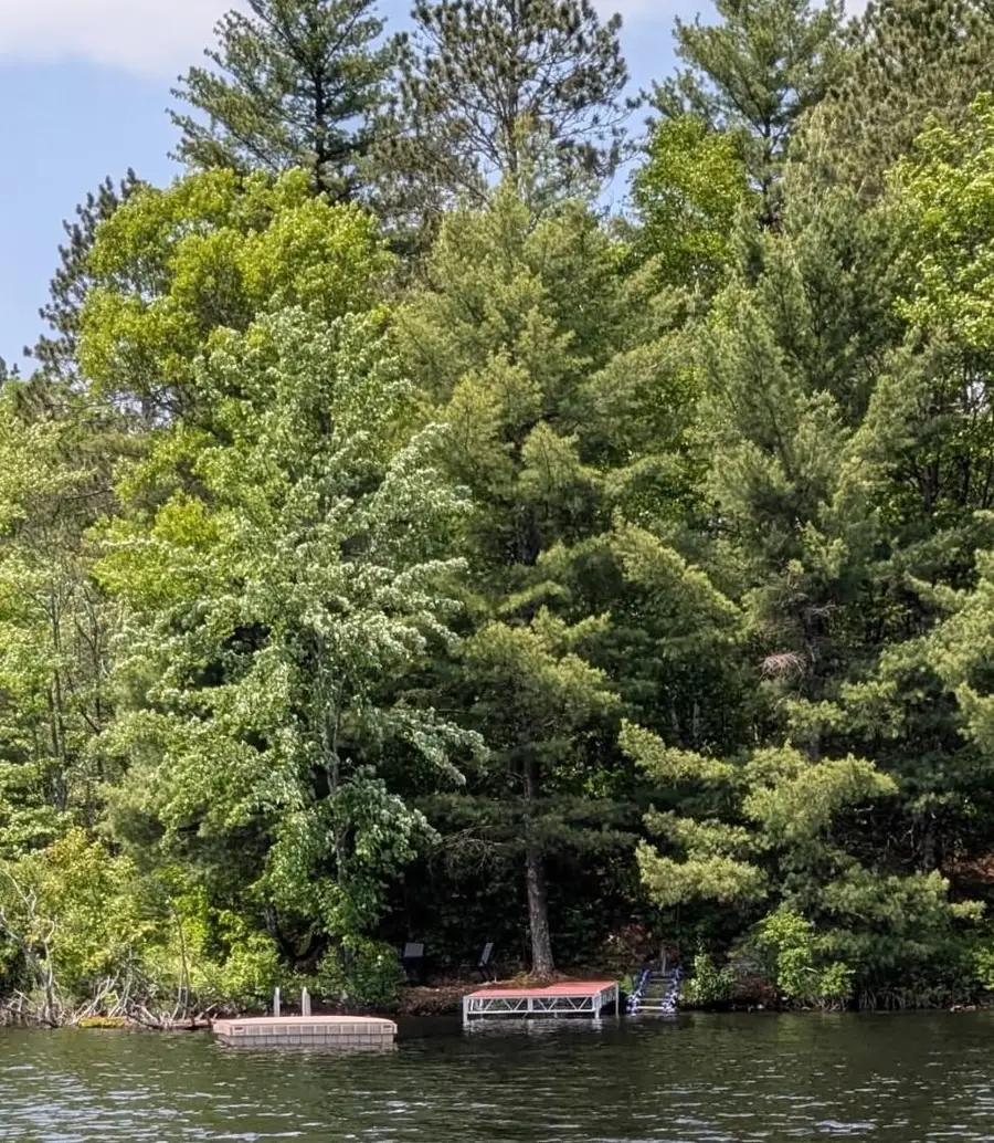 14903 Chequamegon Forest Tr #5, Lac Du Flambeau, WI 54538 - #2