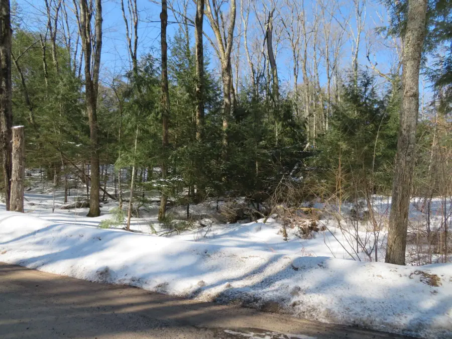 ON Enterprise Lake Rd, Elcho, WI 54428 - #2