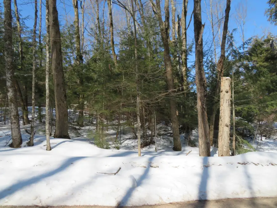 ON Enterprise Lake Rd, Elcho, WI 54428 - #3