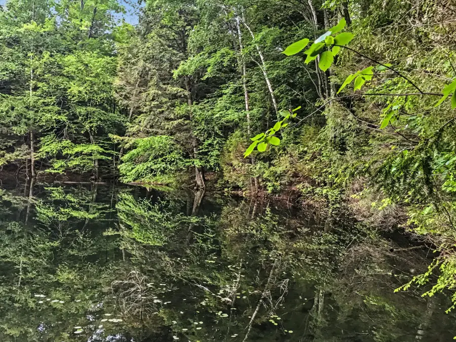 Lot 1 Star Tr, Gleason, WI 54435 - #2