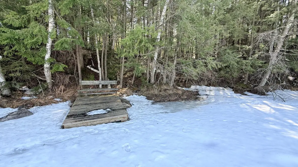 Lot 2 Star Tr, Gleason, WI 54435 - #1