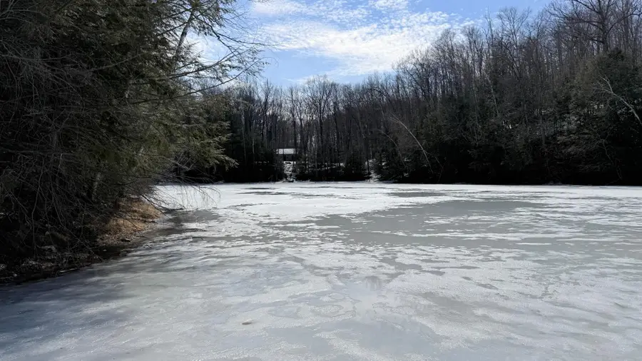 Lot 2 Star Tr, Gleason, WI 54435 - #3