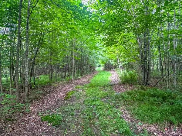 93.89A Kundinger Rd, Park Falls, WI 54552