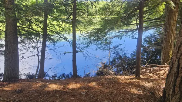 Lot 1 Staehling Rd, Three Lakes, WI 54562