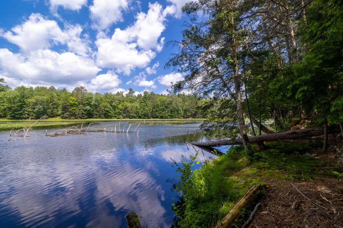 Lot 2 Staehling Rd, Three Lakes, WI 54562 - #1