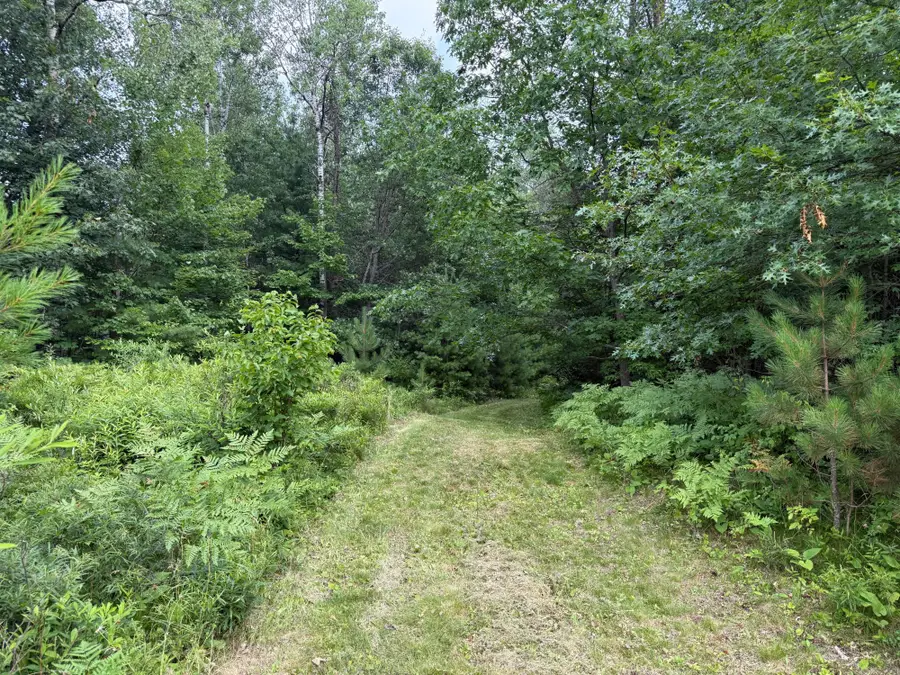 ON Malby Lake Rd, Minocqua, WI 54548 - #2