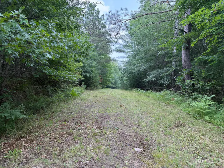 ON Malby Lake Rd, Minocqua, WI 54548 - #3