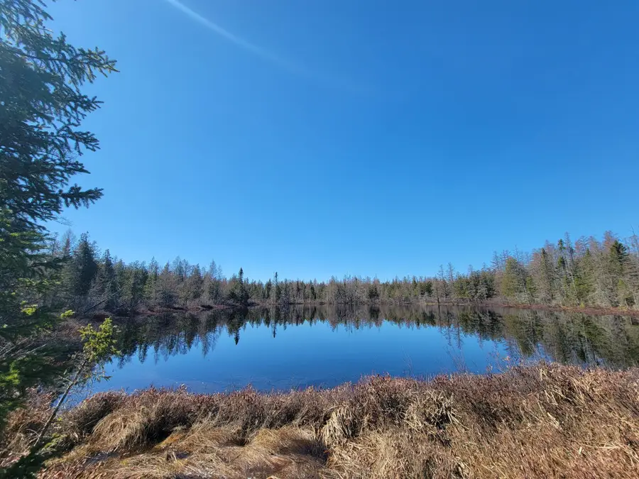 79237 Cth N, Glidden, WI 54527 - #3