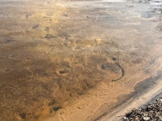 4515 Chain O Lakes Rd #7, Eagle River, WI 54521 - #3