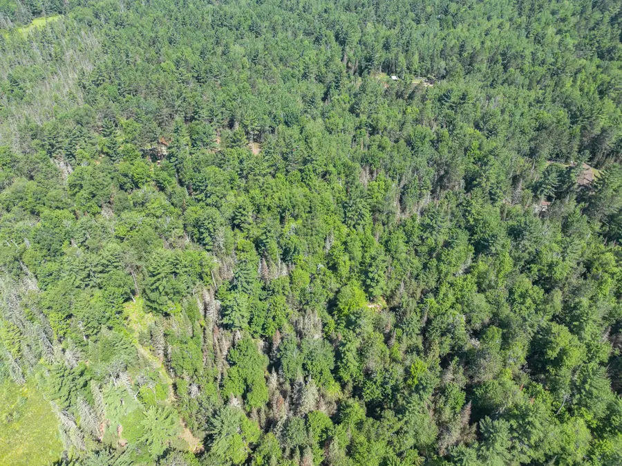 Off Watersmeet Lake Rd #Lot 2, Eagle River, WI 54521 - #2