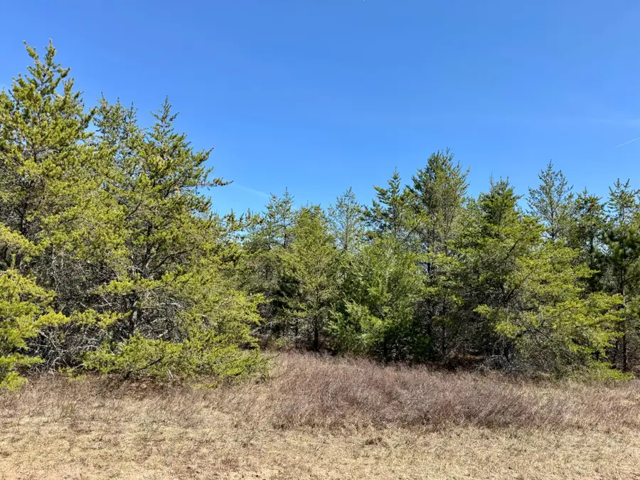 Lot 17 Green Apple Ct, Woodruff, WI 54568 - #2