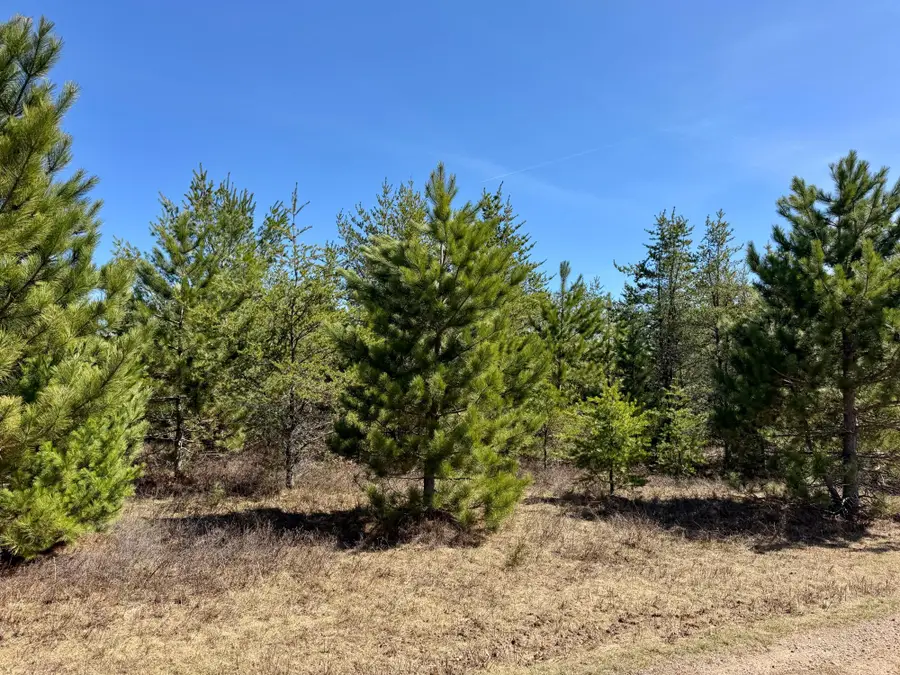 Lot 17 Green Apple Ct, Woodruff, WI 54568 - #3
