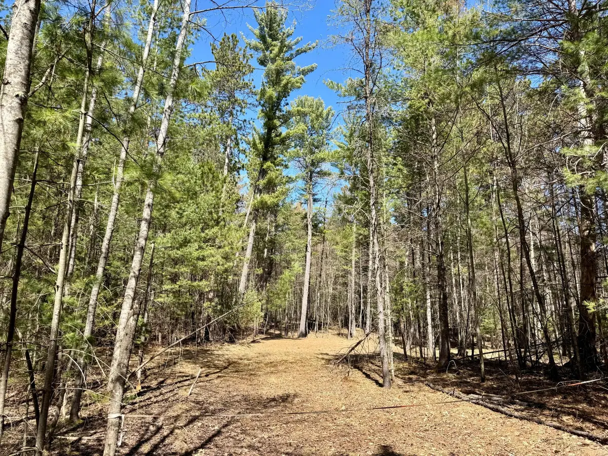 9276 Black Pine Ln, Minocqua, WI 54548 - #1