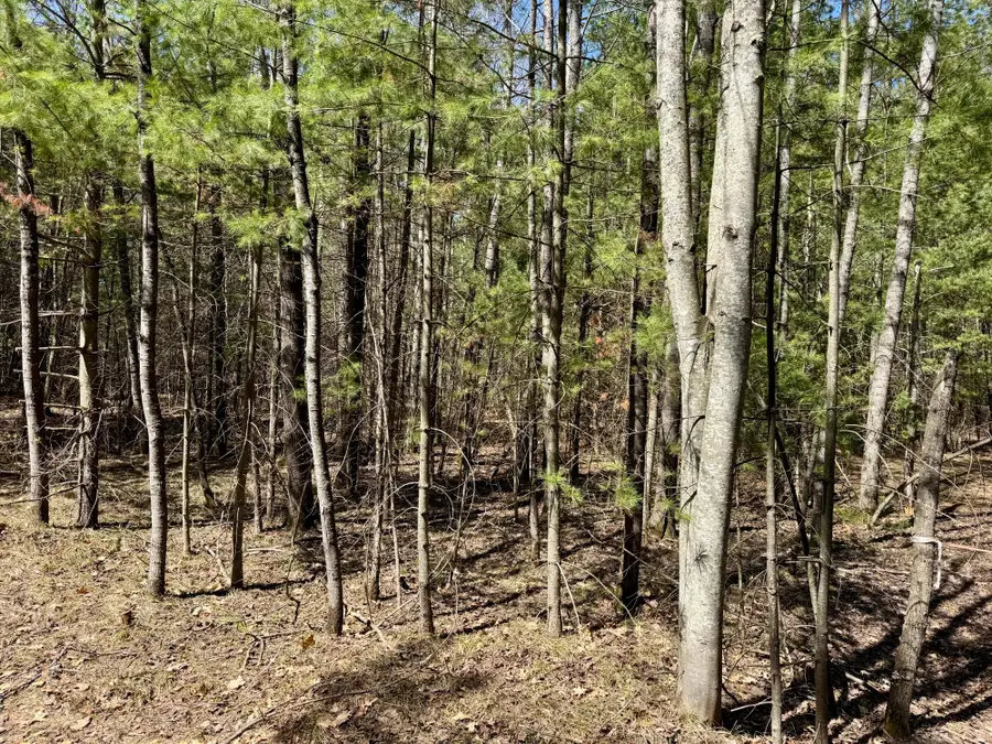 9276 Black Pine Ln, Minocqua, WI 54548 - #2