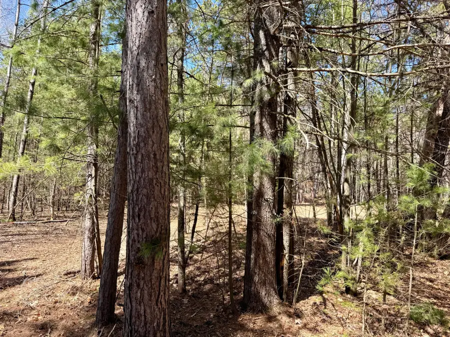 9276 Black Pine Ln, Minocqua, WI 54548 - #3