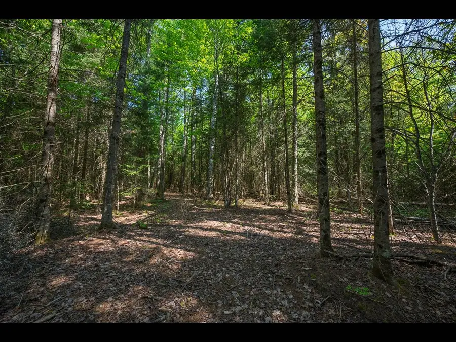 Lot 2 Memory Ln, Eagle River, WI 54521 - #3