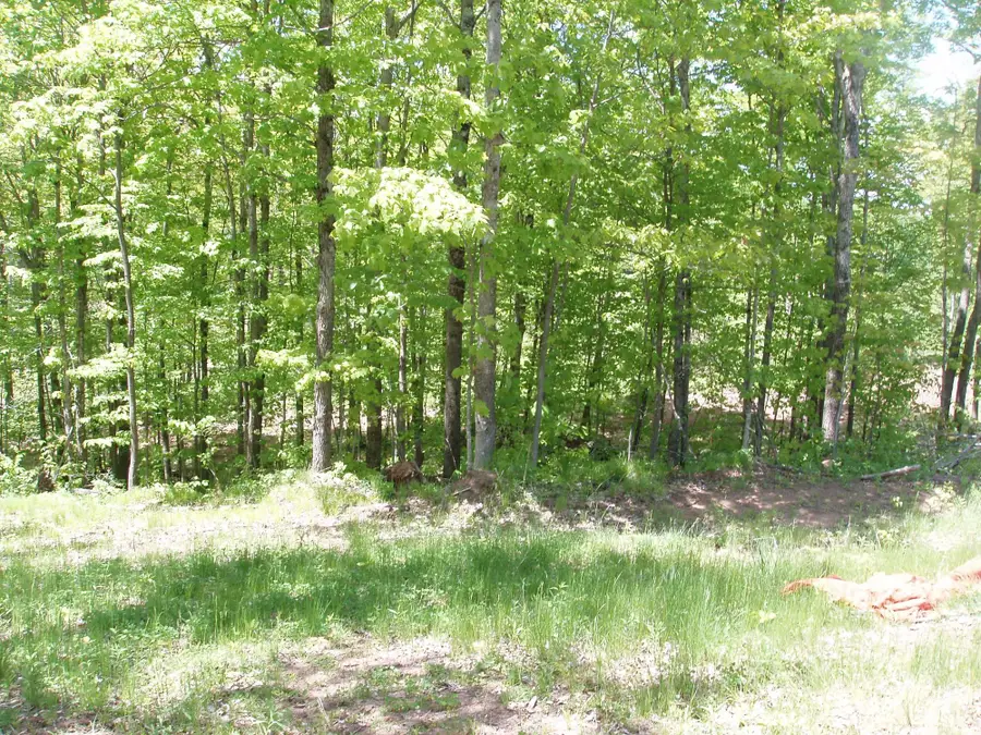 ON Hwy 169 #Lot 1, Mellen, WI 54546 - #2