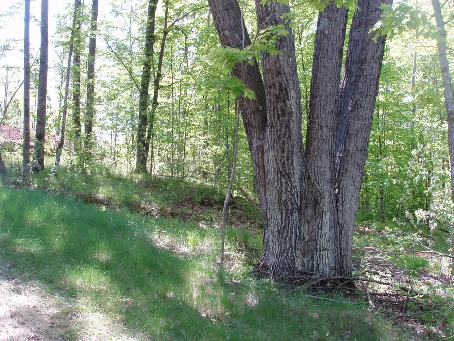 ON Hwy 169 #Lot 1, Mellen, WI 54546 - #3