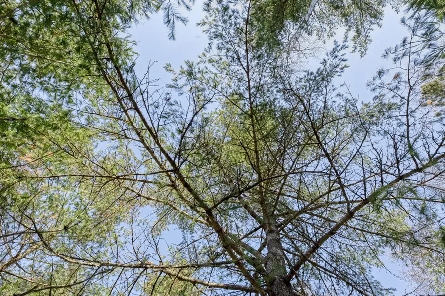 ON Greenwood Dr #Lot 25, Saint Germain, WI 54558 - #3