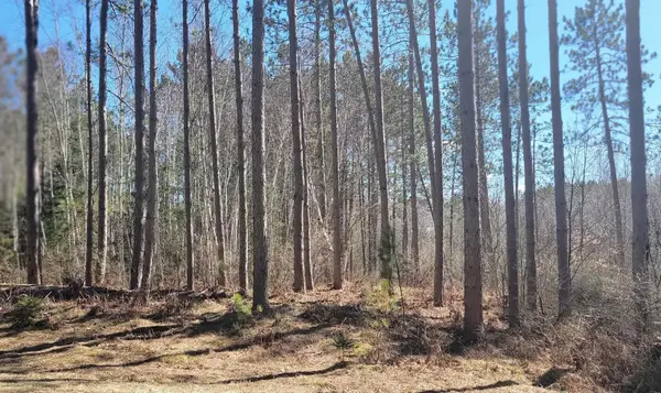 ON Hunter Lake Rd, Winter, WI 54896