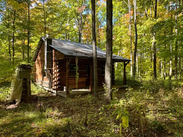 Off County Line Lake Rd, Haight Twp, MI 49912