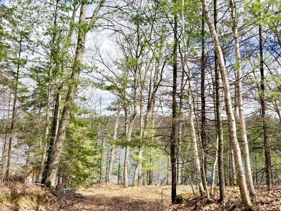 7422 Clear Lake Rd, Rhinelander, WI 54501 - #3