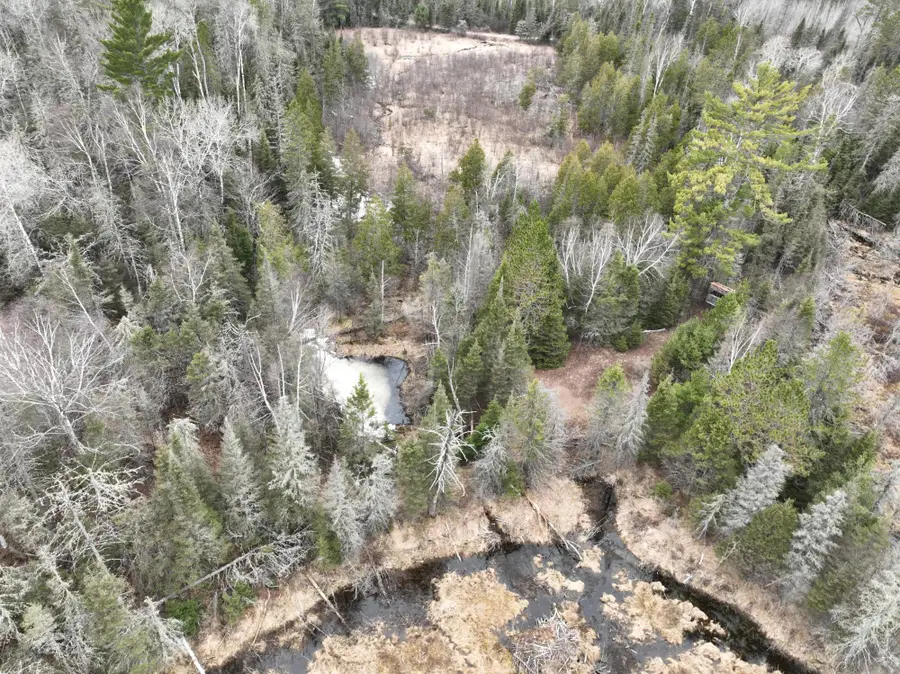 7685 Old B Rd, Land O Lakes, WI 54540 - #3