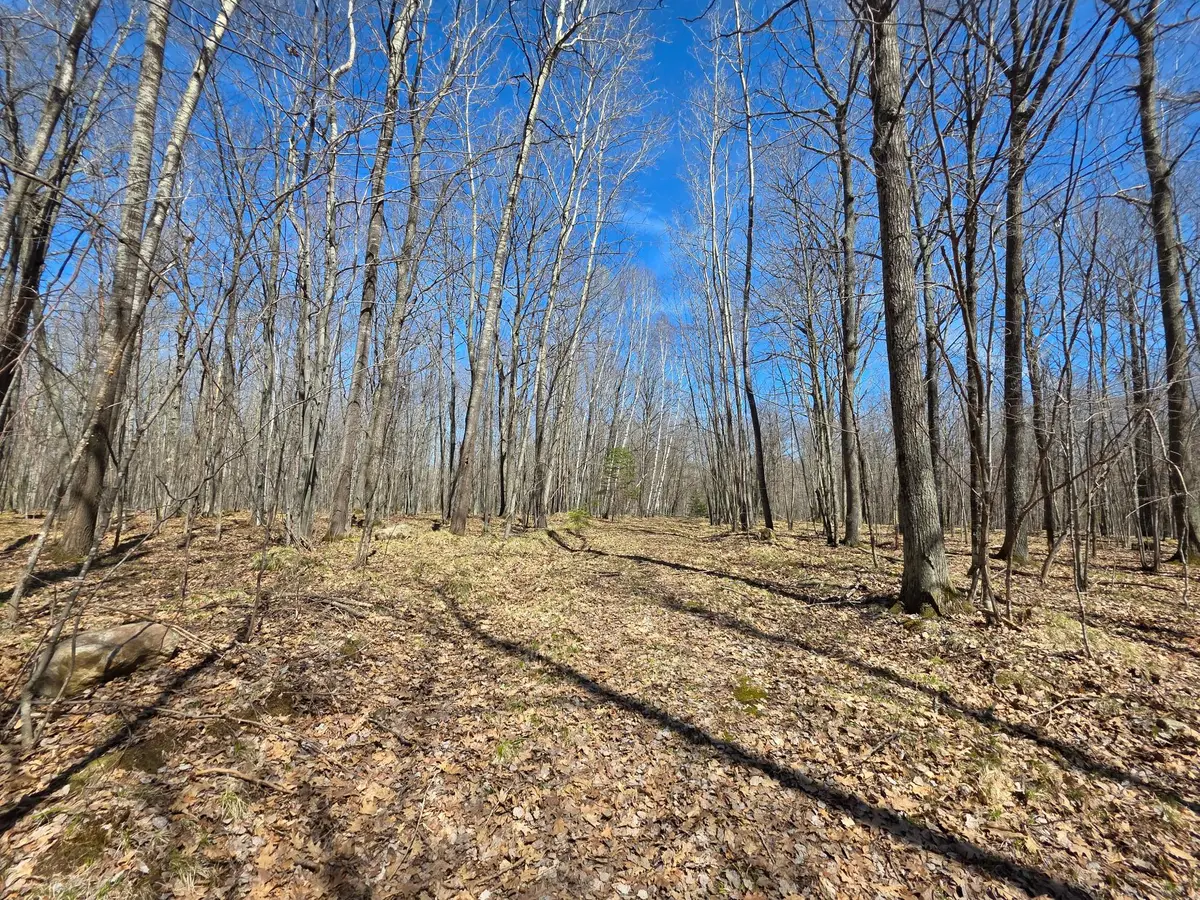 Lot 31 Mistwood Dr, Tomahawk, WI 54487 - #1