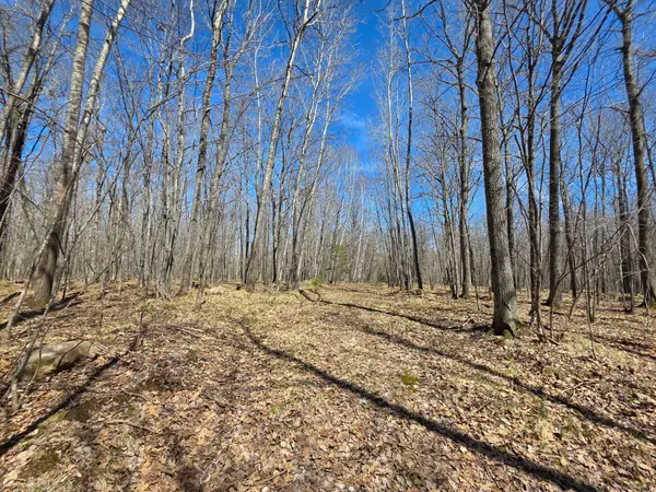 Lot 31 Mistwood Dr, Tomahawk, WI 54487