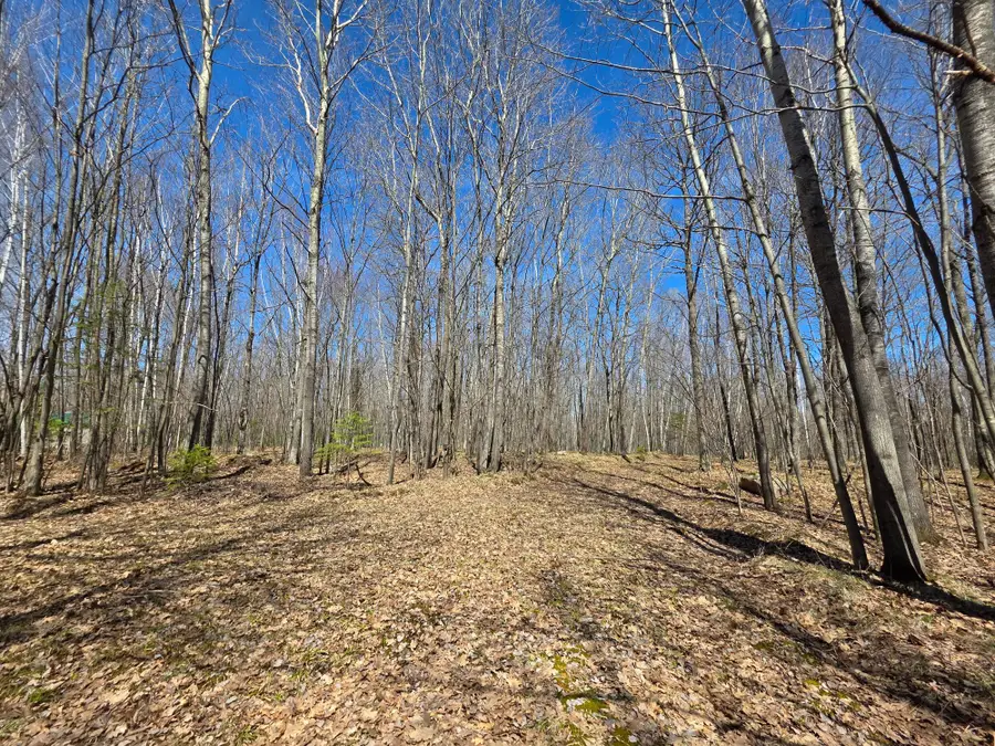 Lot 31 Mistwood Dr, Tomahawk, WI 54487 - #2