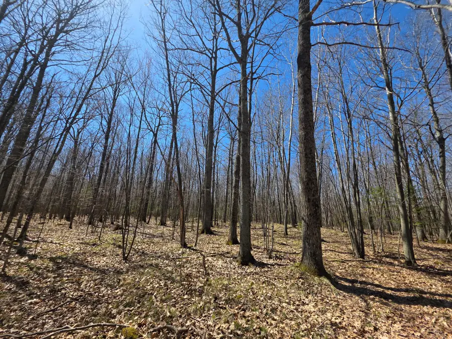 Lot 31 Mistwood Dr, Tomahawk, WI 54487 - #3