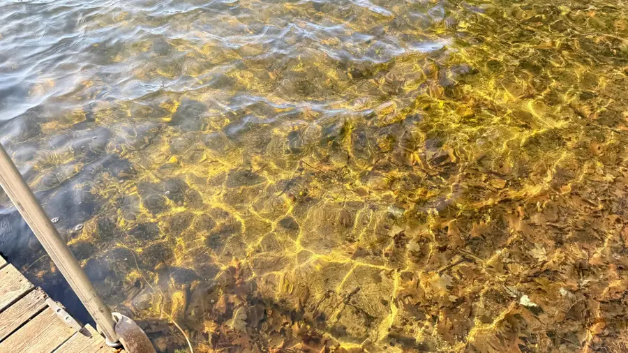 W1007 Seven Island Lake Dr W, Gleason, WI 54435 - #3