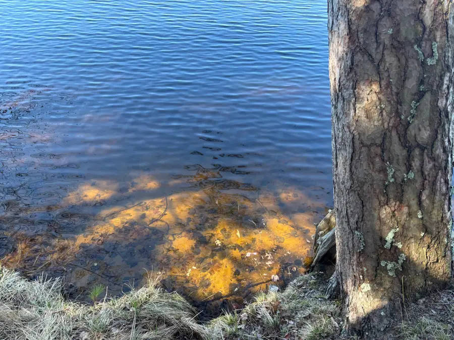 4171 Bay Rd N, Rhinelander, WI 54501 - #3