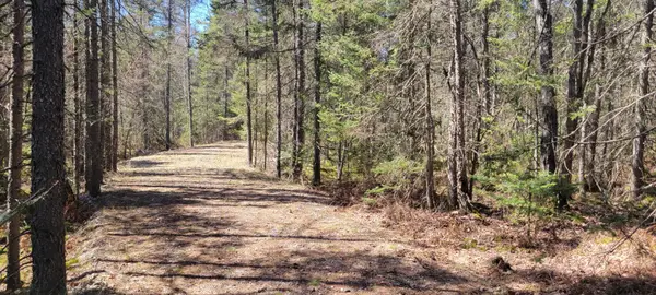 5350 Pineaire Dr, Rhinelander, WI 54501