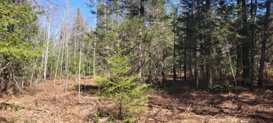 5350 Pineaire Dr, Rhinelander, WI 54501 - #2