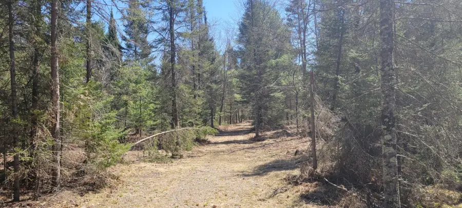 5350 Pineaire Dr, Rhinelander, WI 54501 - #3