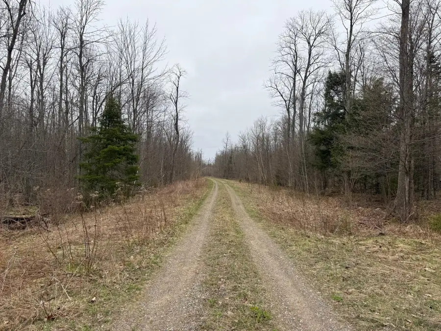 0000 Hwy 8, Crandon, WI 54520 - #2