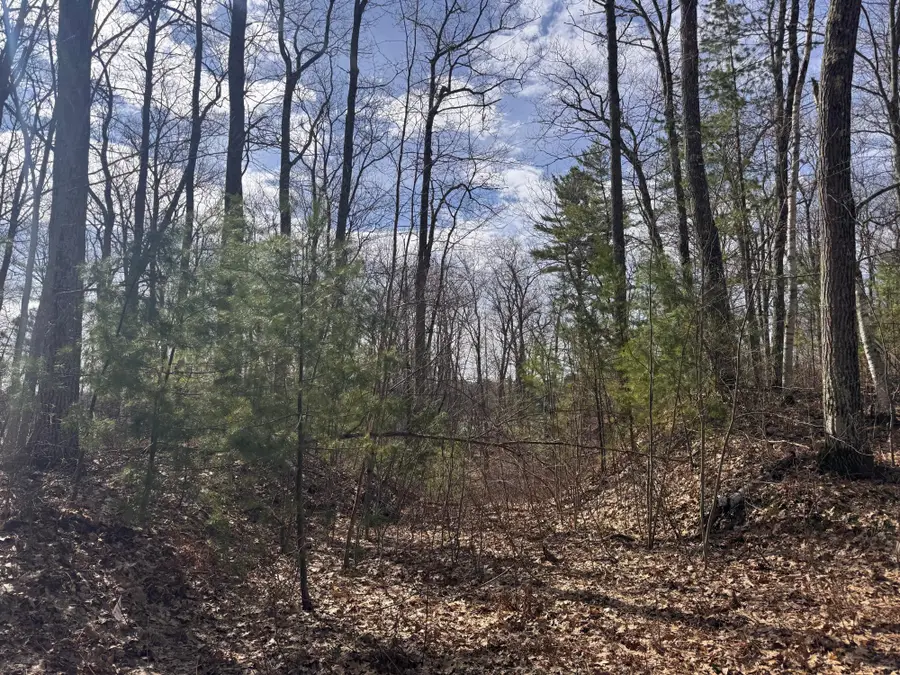 Lot 8 Plummer Lake Ln W, Lac Du Flambeau, WI 54538 - #3