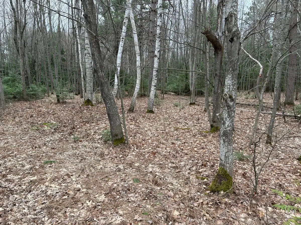 ON Wykowski Rd, Three Lakes, WI 54562 - #1