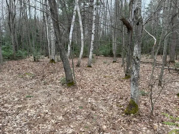 ON Wykowski Rd, Three Lakes, WI 54562