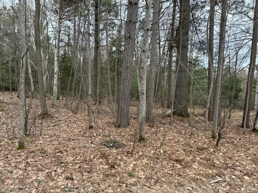 ON Wykowski Rd, Three Lakes, WI 54562 - #2
