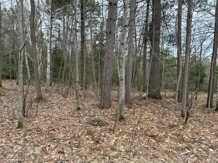ON Wykowski Rd, Three Lakes, WI 54562 - #3