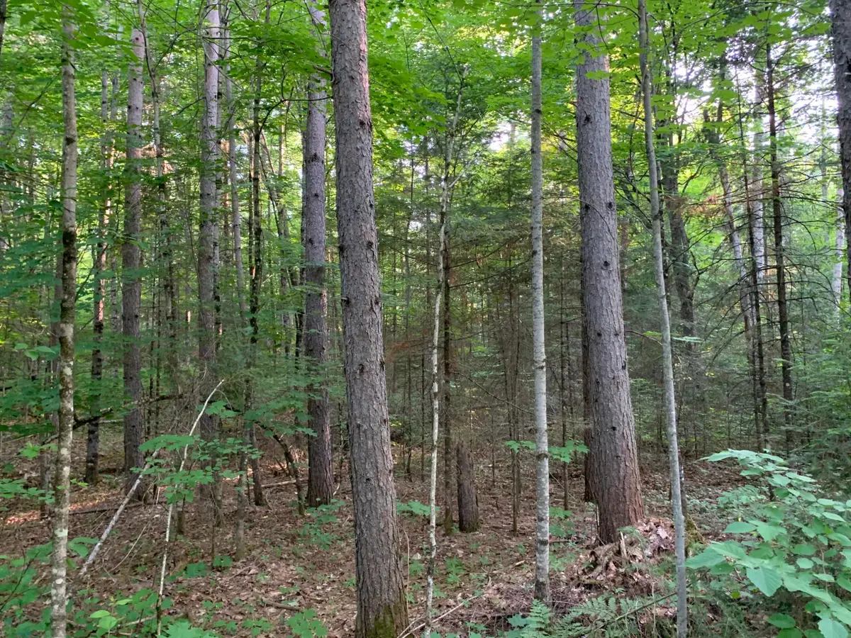 Lot 24 Deer Trail Rd, Presque Isle, WI 54557 - #1