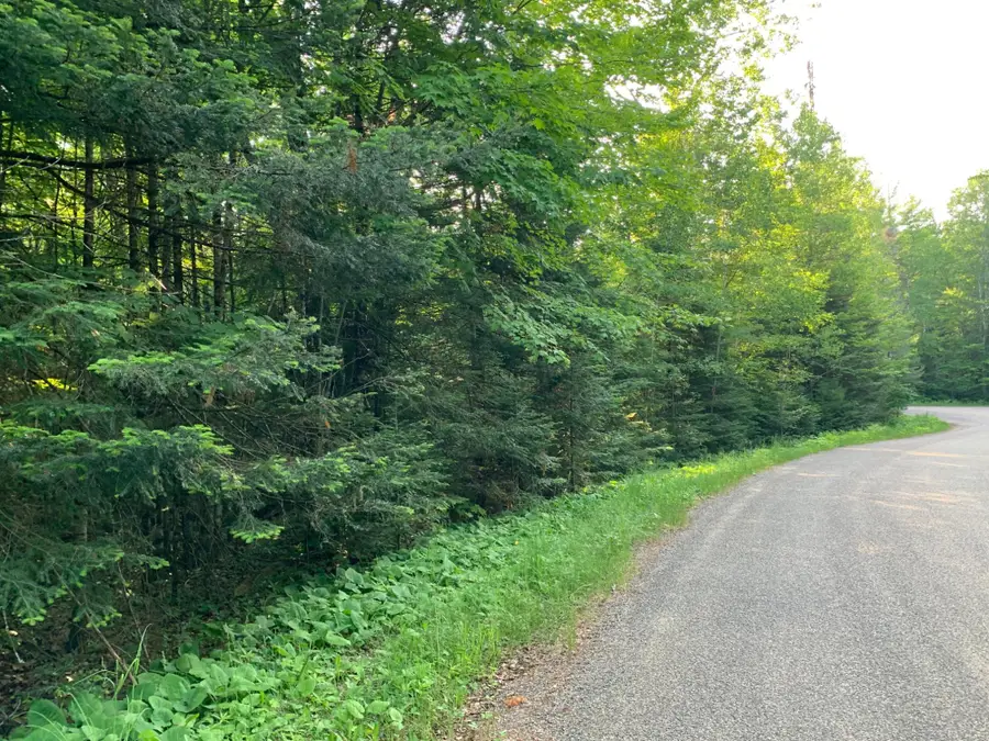 Lot 24 Deer Trail Rd, Presque Isle, WI 54557 - #3