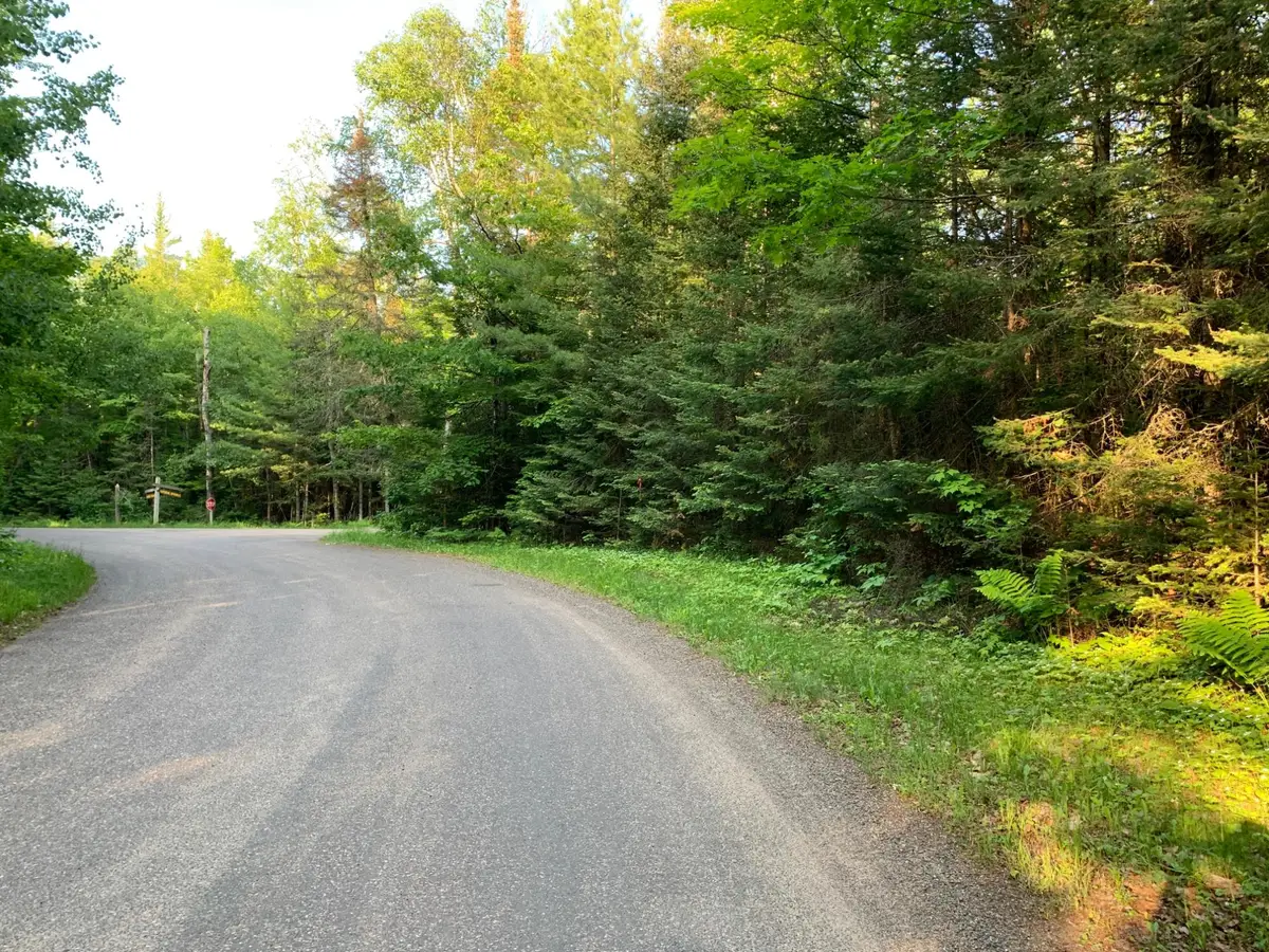 Lot 22 Deer Trail Rd, Presque Isle, WI 54557 - #1